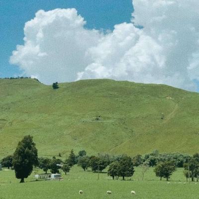 爱体育官方app下载手机版