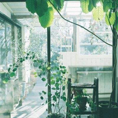 金年会手机app官方下载