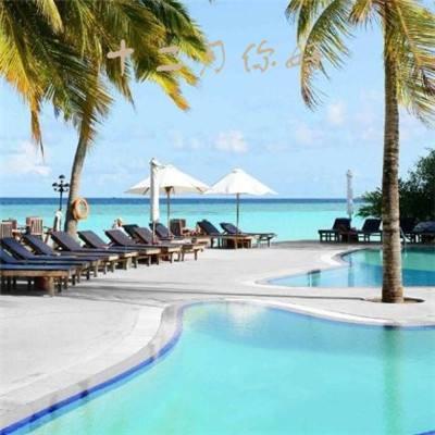 单机的打鱼游戏下载手机版