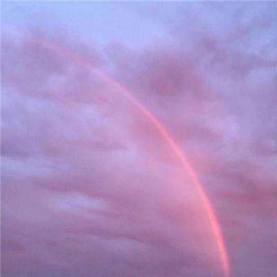 管家婆期期四肖四码中特管家手机app下载