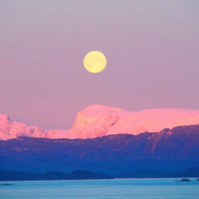 金年会app官方网址