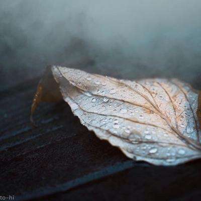 全球十大正规网赌网址