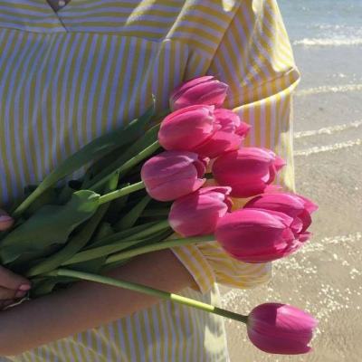 万博全站(Manbetx)